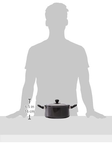 Futura Nonstick Stewpot 3L with SS lid and Induction Compatible Base