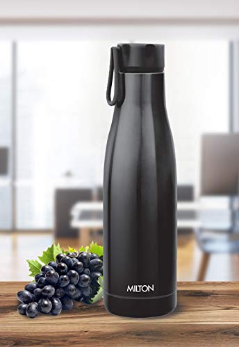 Milton Fame Thermosteel Vacuum Insulated Stainless Steel 24 Hours